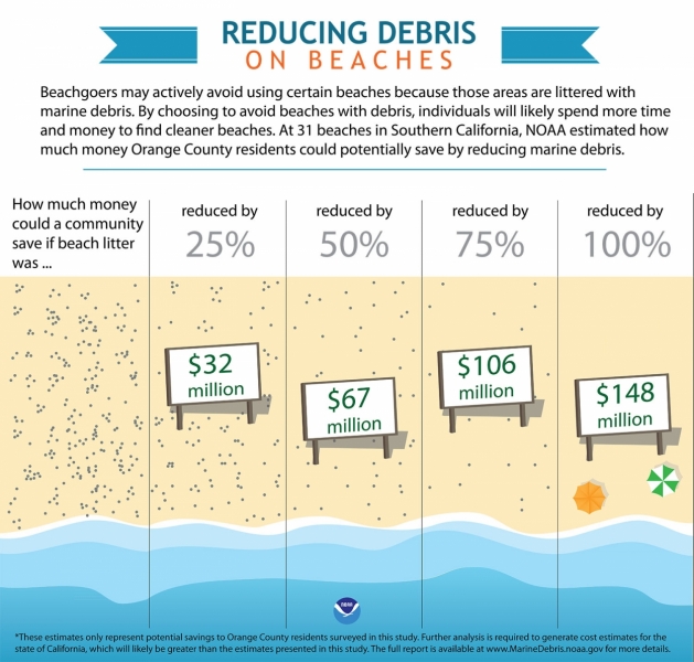An infographic labeled "Reducing Marine Debris on Beaches." 