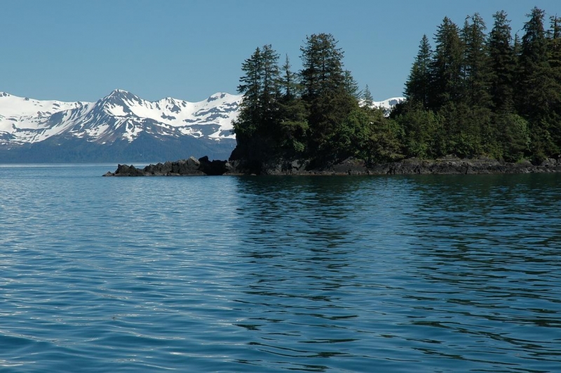 A body of water with a tree-lined shoreline across the way with mountains in the background.