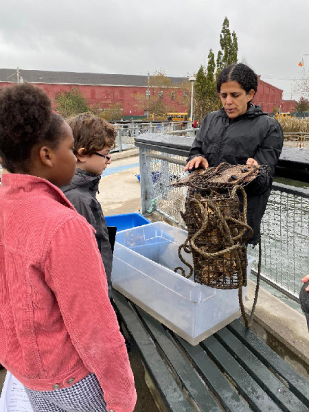 A person showing mussels to a group of children.