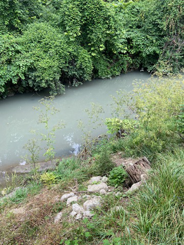 Cloudy creek with vegetation on the banks.