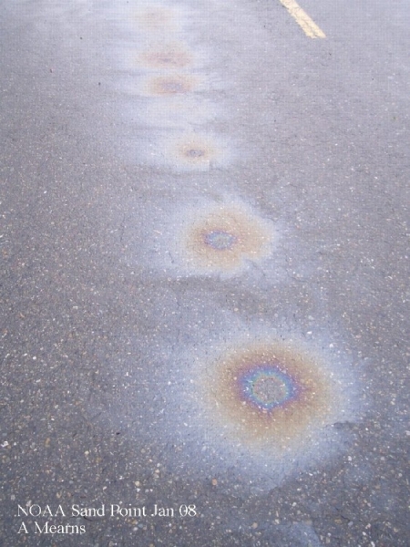 A string of rainbow sheens on asphalt. 