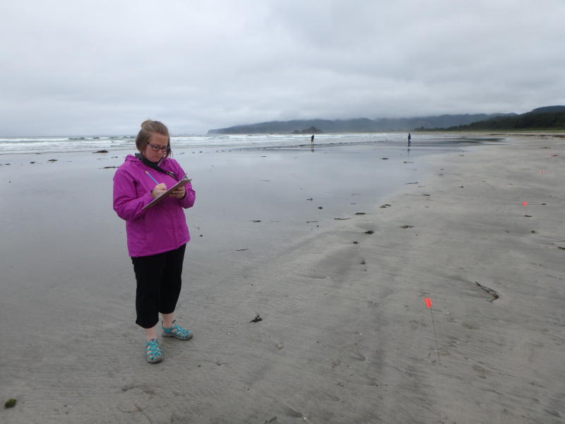 A person on a beach holding a clipboard.