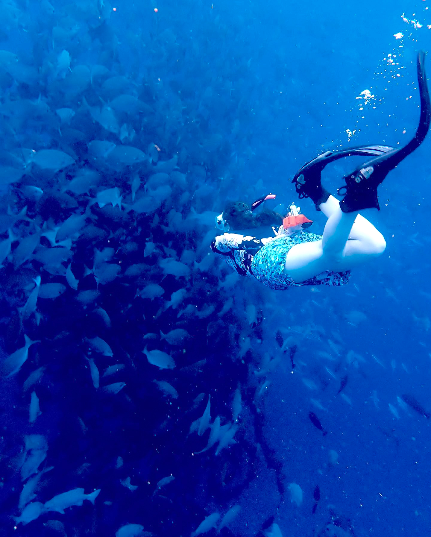 Freediver swims underwater towards a school of fish.