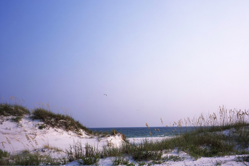 A dune in the foreground with sky and water in the background.