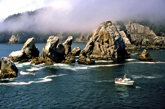 A boat drifting past an exposed rocky shoreline.