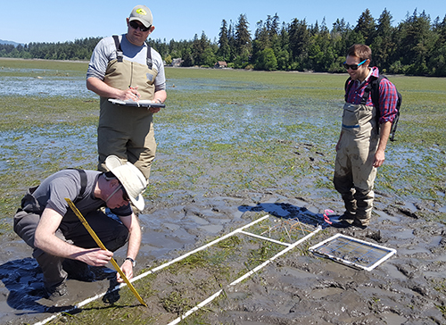 Three people examining a muddy shoreline.