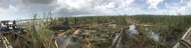 An oiled marsh area with debris. 