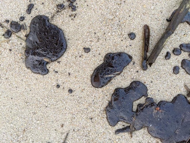 Oil tarball on a beach.