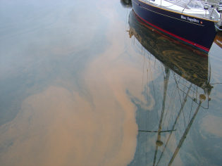 A light brown substance in a body of water near a boat.
