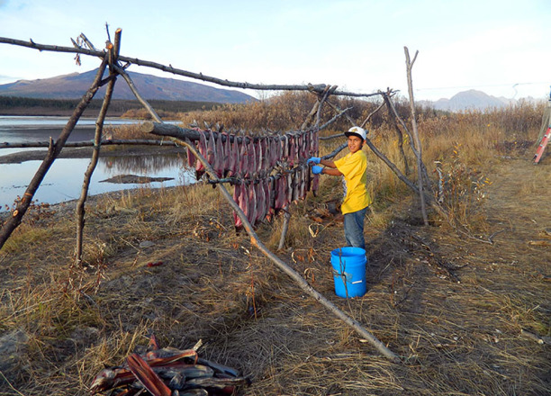 A boy hanging meat on sticks. 