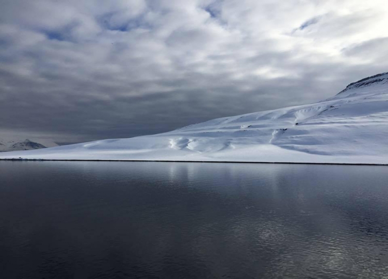 A landscape view of an arctic coast. 