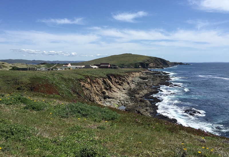 A wide shot view of several buildings on a green shoreline. 