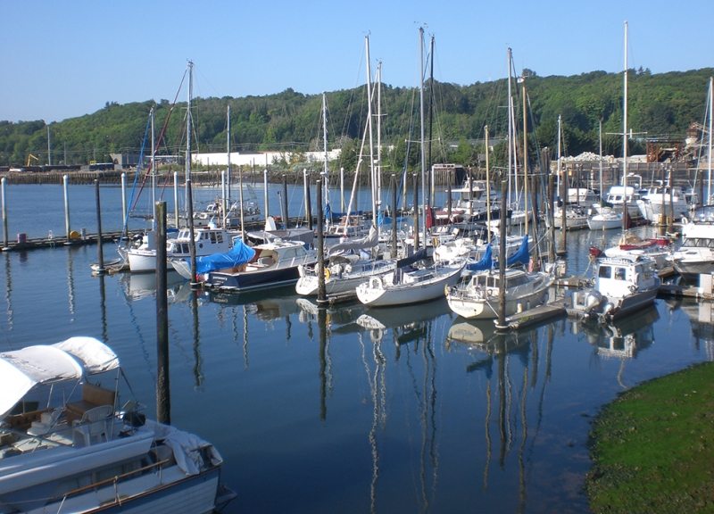 A boat dock at a marina filled with small vessels. 