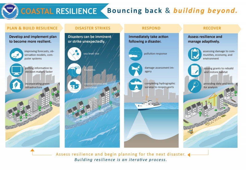 An infographic titled "Coastal Resilience: Bouncing Back & Building Beyond." 