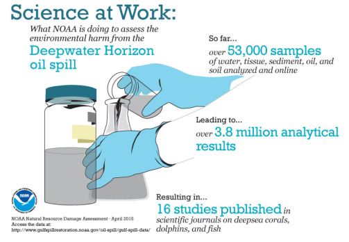 An infographic depicting the following information: "Science at Work: What NOAA is doing to assess the environmental harm from the Deepwater Horizon oil spill. So far ... over 53,000 samples of water, tissue, sediment, oil, and soil analyzed and online. Leading to ... over 3.8 million analytical results. Resulting in ... 16 studies published in scientific journalism on deepsea corals, dolphins, and fish. 