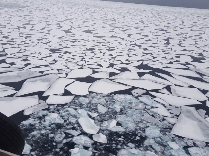 A layer of cracked ice on a body of water.