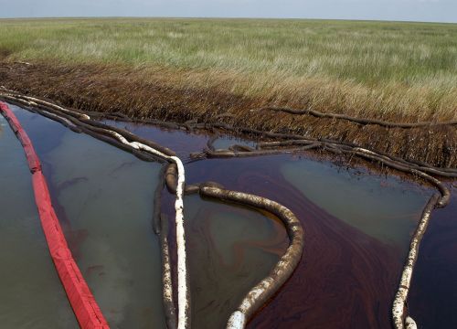 Oil in water near a marsh with pollution boom around it. 