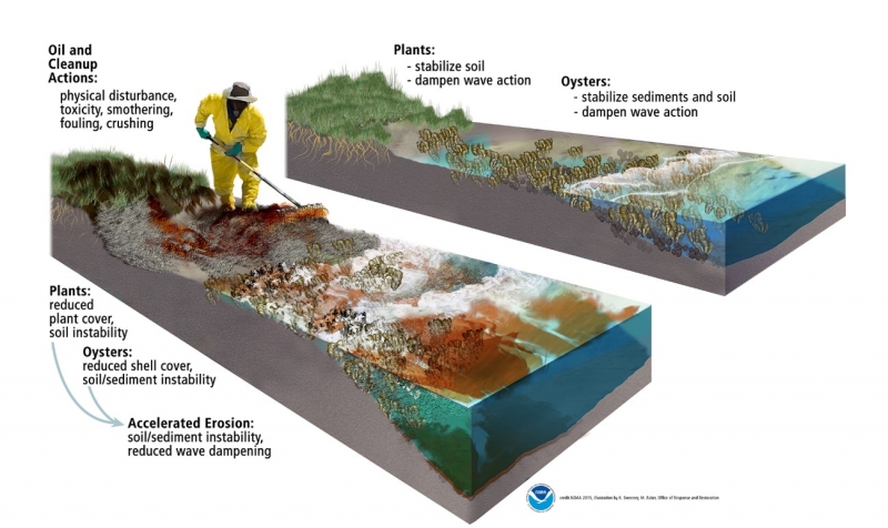 An image depicting the clean-up process. 