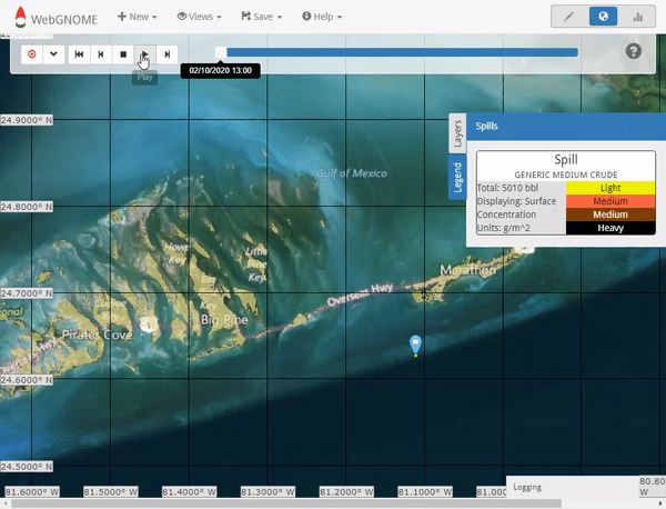 An animated image of a map with yellow pixels moving toward the shoreline.