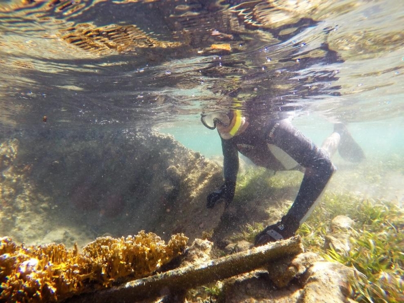 A diver underwater.