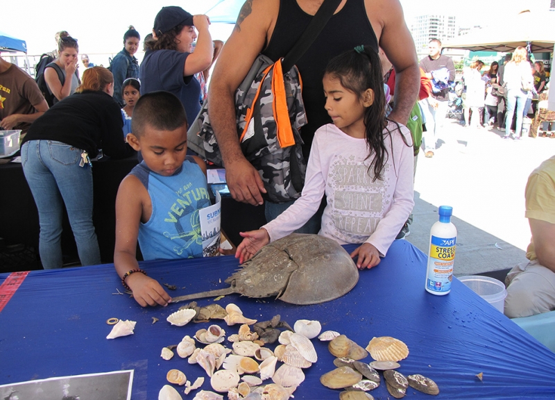 Surrounded by other booths and tables outside, two children examine several specimens.