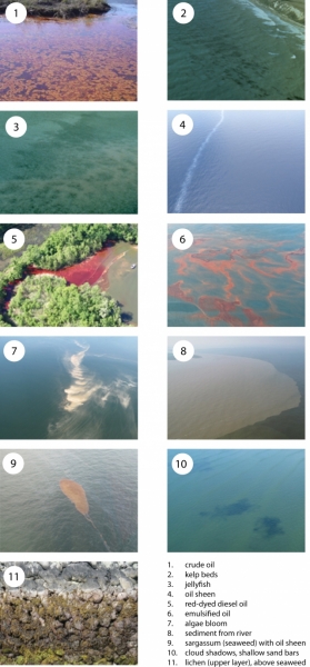 11 photos depicting possible oil spills, labeled as follows: 1. crude oil, 2. kelp beds, 3. jellyfish, 4. oil sheen, 5. red-dyed diesel oil, 6. emulsified oil, 7. algae bloom, 8. sediment from river, 9. sargassum (seaweed) with oil sheen, 10. cloud shadows, shallow sand bars, and 11. lichen (upper layer), above seaweed. 