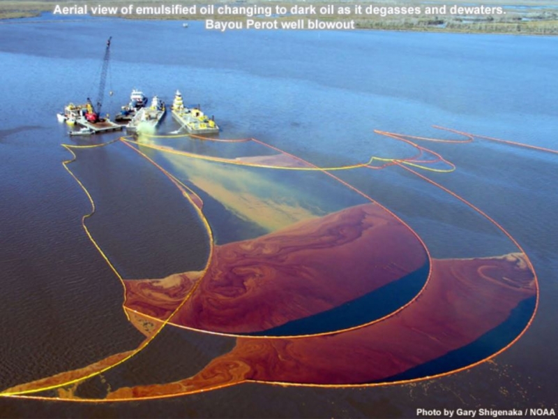 An aerial view of varying shades of oil being collected in pollution boom. 