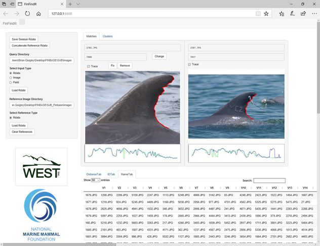 A screenshot of the "finFindR dashboard" showing two pictures of dolphin fins.