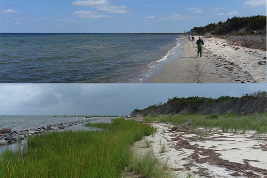 Before and after images of a beach.