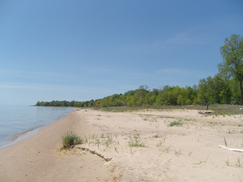 A sand dune.