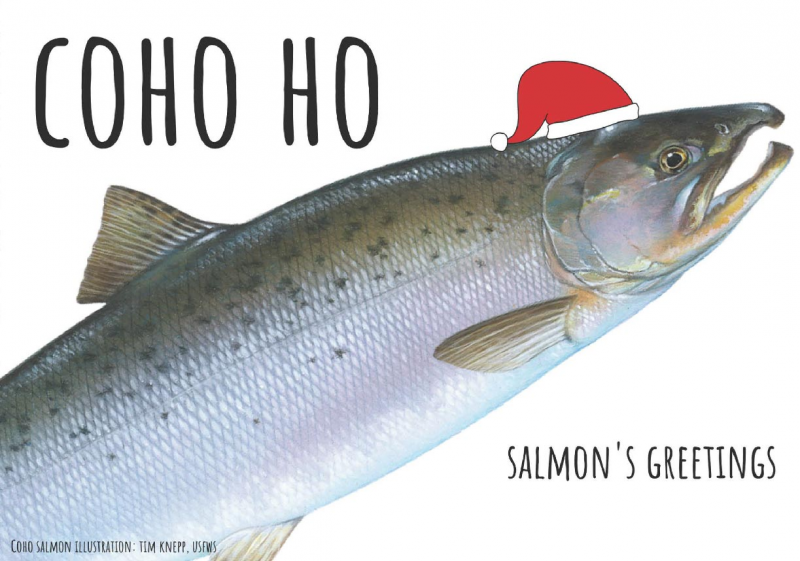 A graphic of a salmon wearing a santa hat reading "Coho Ho."