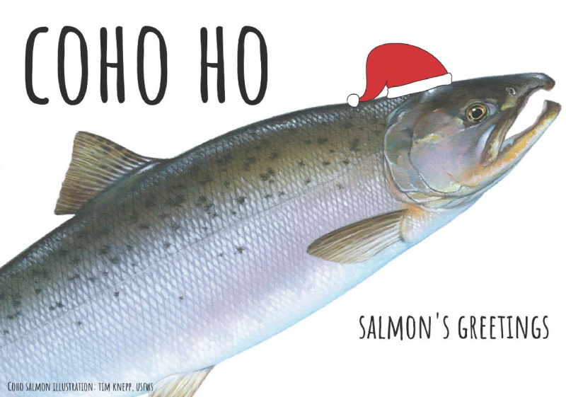 Holiday Wishes For NOAA Fishes! | NOAA's Office of Response ...