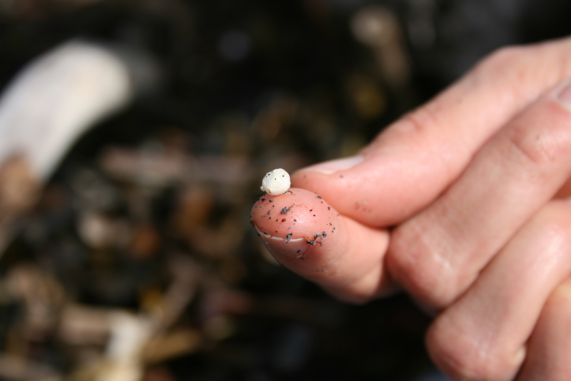 The Plastic Effect: A first-hand account of how plastic is