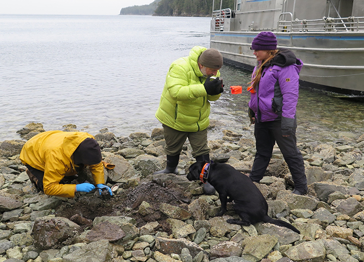 Three people and a dog on a rocky shoreline. One person is sitting down inspecting the ground. 