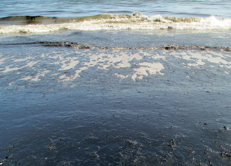 Oil washing onto a beach. 