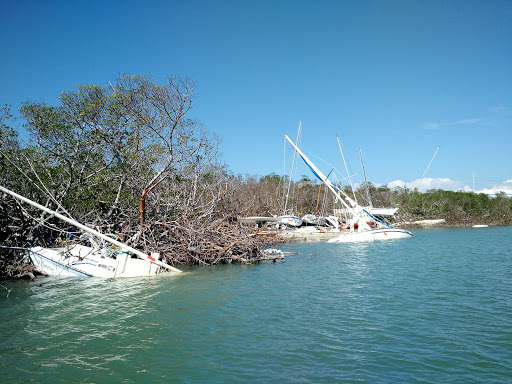 Derelict vessels on a shoreline.