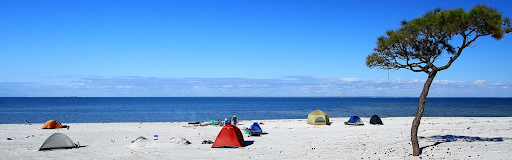 A beach.