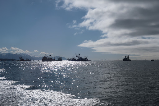 Fishing vessels.