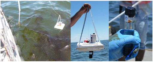 Three images, from left: oil in water, a person holding some equipment, a sampling vile.