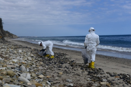 Cleanup workers on a beach.