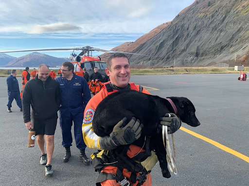 A group of people with a dog walking away from a helicopter.