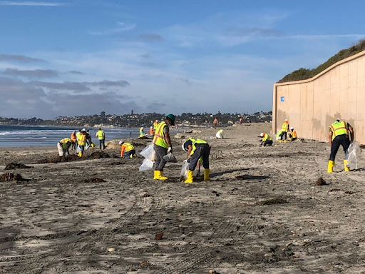 Cleanup workers on a beach.