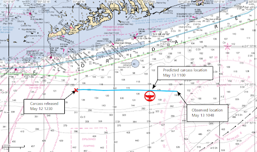 NOAA Offices Partnering to Collect Satellite Imagery of Stranded Whales ...