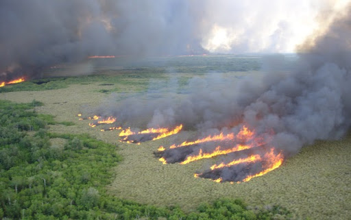 A field on fire. 