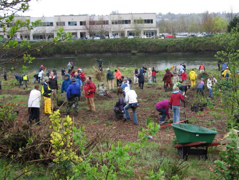 People working on a vegetated area in an urban setting. 