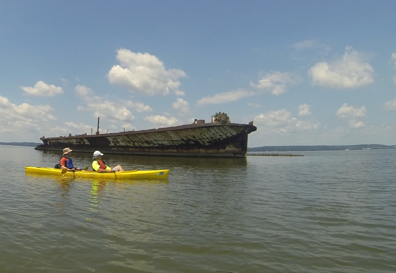 Two people kayaking in front of a rusted, grounded vessel. 