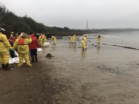 Cleanup workers in response gear on a shoreline.