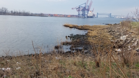 An oiled shoreline with industrial structures in the background.
