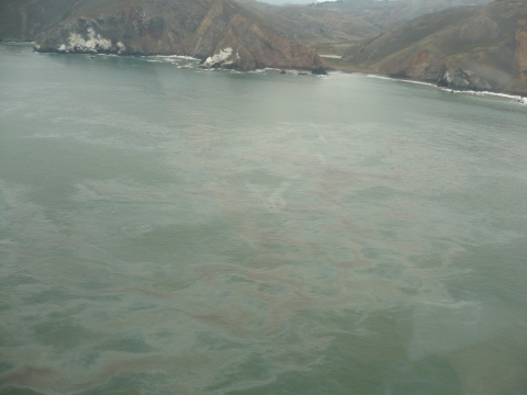 Oil on a sea surface with hills in the background.