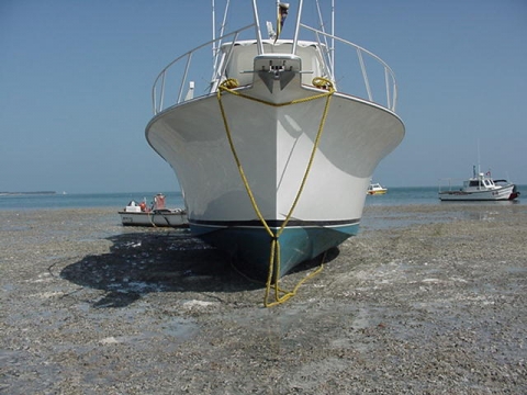 A close up view of a vessel grounded on seagrass. 